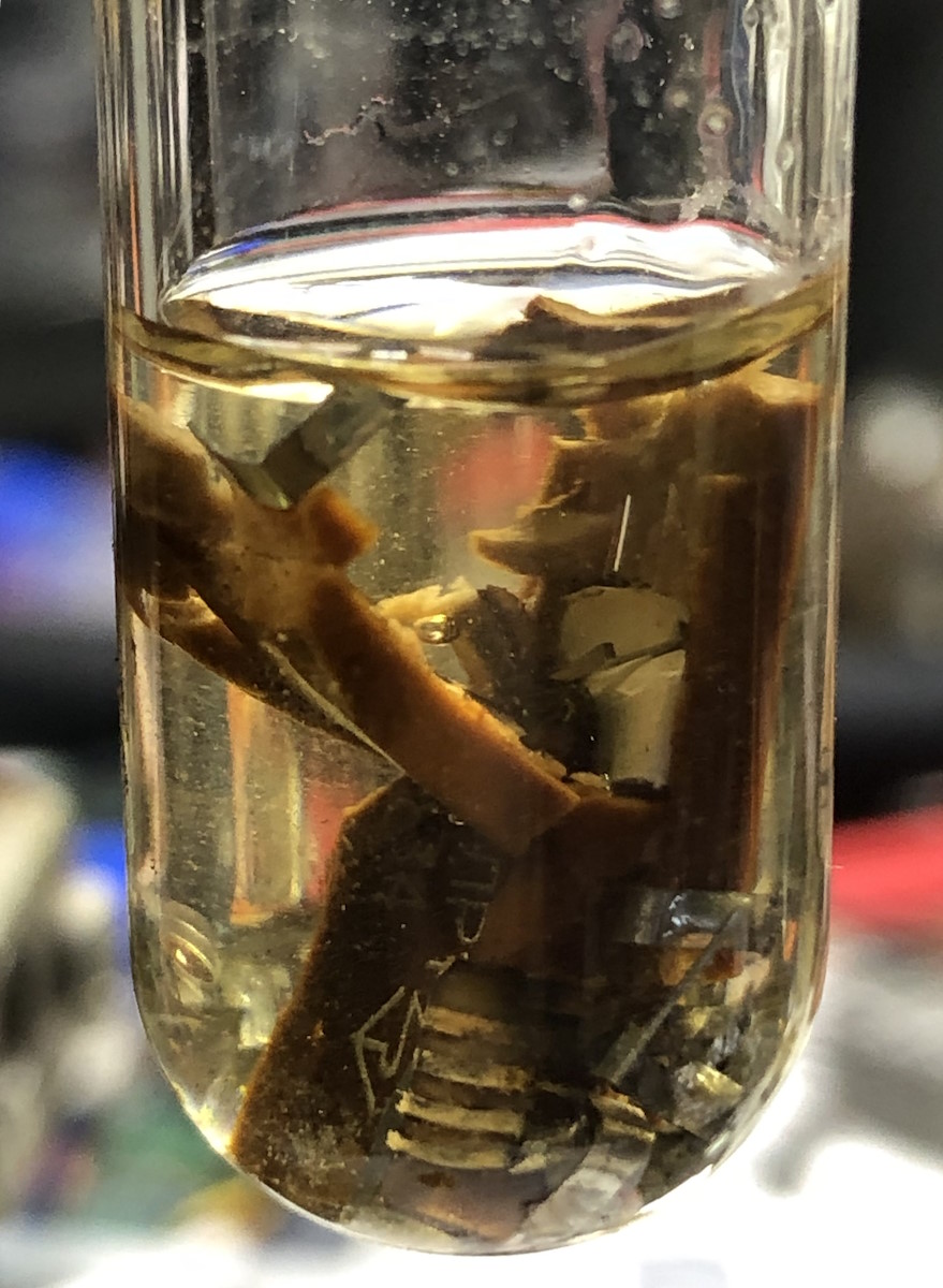 Test subject visibly in pieces